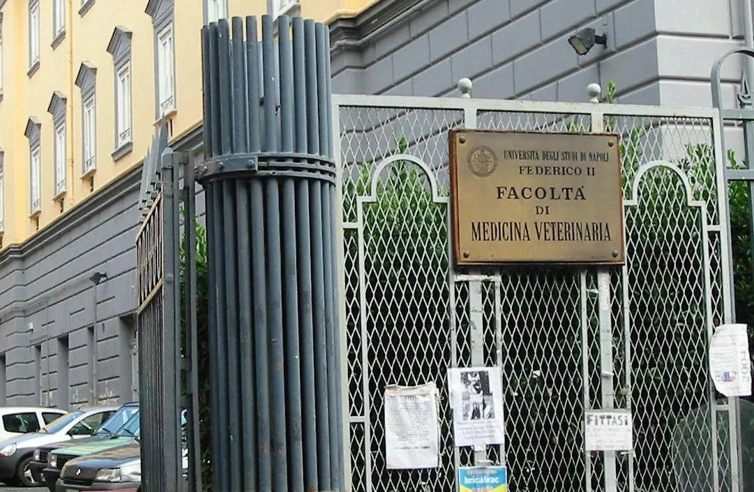 Le 3 Sorelle House Napoli
